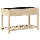 Have Blomsterkrukke Beige 115 x 59 x 76,5 cm Massivt Fyrretræ