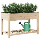 Have Blomsterkrukke Beige 115 x 59 x 76,5 cm Massivt Fyrretræ