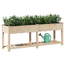 Have Blomsterkrukke Beige 203 x 53 x 76,5 cm Massivt Fyrretræ
