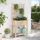 Have Blomsterkrukke Beige 71 x 38 x 152 cm Massivt Fyrretræ