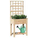 Have Blomsterkrukke Beige 71 x 38 x 152 cm Massivt Fyrretræ