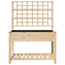 Have Blomsterkrukke Beige 115 x 60,5 x 153 cm Massivt Fyrretræ
