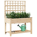 Have Blomsterkrukke Beige 115 x 60,5 x 153 cm Massivt Fyrretræ