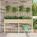 Have Blomsterkrukke Beige 161 x 46 x 152,5 cm Massivt Fyrretræ