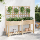 Have Blomsterkrukke Beige 161 x 46 x 152,5 cm Massivt Fyrretræ