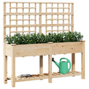 Have Blomsterkrukke Beige 161 x 46 x 152,5 cm Massivt Fyrretræ