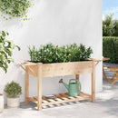 Have Blomsterkrukke Beige 155 x 59 x 76,5 cm Massivt Fyrretræ