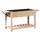 Have Blomsterkrukke Beige 155 x 59 x 76,5 cm Massivt Fyrretræ