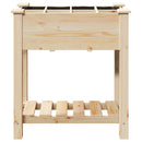 Have Blomsterkrukke Beige 71 x 37 x 76,5 cm Massivt Fyrretræ