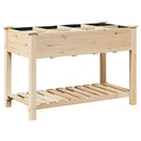 Have Blomsterkrukke Beige 115 x 59 x 76,5 cm Massivt Fyrretræ