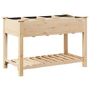 Have Blomsterkrukke Beige 115 x 59 x 76,5 cm Massivt Fyrretræ
