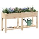 Have Blomsterkrukke Beige 161,5 x 45 x 76,5 cm Massivt Fyrretræ