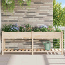 Have Blomsterkrukke Beige 203,5 x 53 x 76,5 cm Massivt Fyrretræ