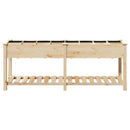 Have Blomsterkrukke Beige 203,5 x 53 x 76,5 cm Massivt Fyrretræ