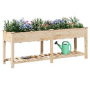 Have Blomsterkrukke Beige 203,5 x 53 x 76,5 cm Massivt Fyrretræ