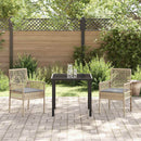 Have Stol med pude 2 pcs Beige 55 x 53 x 85 cm polyrattan