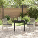 Have Stol med pude 2 pcs Lysegrå 55 x 53 x 85 cm polyrattan