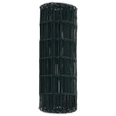 Euro Hejn Grøn 0,6 x 10 m PVC-belagt jern