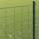 Euro Hejn Grøn 0,6 x 10 m PVC-belagt jern