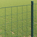 Euro Hejn Grøn 1 x 25 m PVC-belagt jern