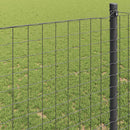 Euro Hejn Grå 1,4 x 10 m PVC-belagt jern