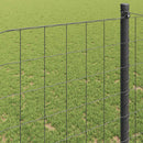 Euro Hejn Grå 1 x 25 m PVC-belagt jern