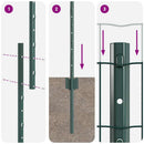 Svejset Trådhegn 10 x 1,6 m (B x H) PVC-belagt stål Grøn Mesh