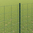 Eurohegn med stolpe 10 x 1,4 m PVC-belagt stål Grøn Mesh