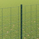 Eurohegn med stolpe 10 x 1,6 m PVC-belagt stål Grøn Mesh