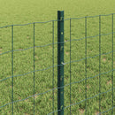 Svejset Trådhegn 50 x 0,6 m (B x H) PVC-belagt stål Grøn Mesh