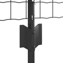Svejset Trådhegn 10 x 0,8 m (B x H) PVC-belagt stål Grå Mesh