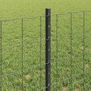 Svejset Trådhegn 10 x 0,6 m (B x H) PVC-belagt stål Grå Mesh