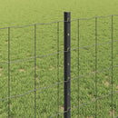 Svejset Trådhegn 10 x 0,8 m (B x H) PVC-belagt stål Grå Mesh