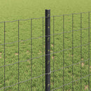 Svejset Trådhegn 25 x 0,8 m (B x H) PVC-belagt stål Grå Mesh