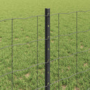 Svejset Trådhegn 50 x 0,6 m (B x H) PVC-belagt stål Grå Mesh
