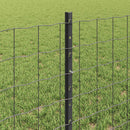 Svejset Trådhegn 10 x 0,6 m (B x H) PVC-belagt stål Grå Mesh