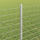 Svejset Trådhegn 10 x 0,8 m (B x H) Hot-Dip Galvaniseret Stål
