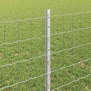 Svejset Trådhegn 10 x 0,8 m (B x H) Hot-Dip Galvaniseret Stål