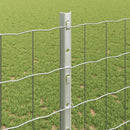 Svejset Trådhegn 10 x 1,2 m (B x H) Hot-Dip Galvaniseret Stål