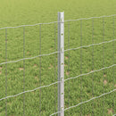 Svejset Trådhegn 10 x 0,8 m (B x H) Hot-Dip Galvaniseret Stål