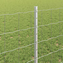 Svejset Trådhegn 10 x 0,8 m (B x H) Hot-Dip Galvaniseret Stål