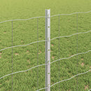 Svejset Trådhegn 25 x 0,8 m (B x H) Hot-Dip Galvaniseret Stål