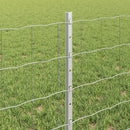 Svejset Trådhegn 50 x 0,6 m (B x H) Hot-Dip Galvaniseret Stål