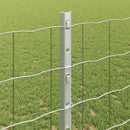 Svejset Trådhegn 10 x 1,2 m (B x H) Hot-Dip Galvaniseret Stål