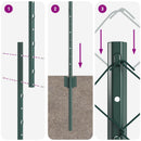 Kæde-link hegn med post 10 x 1,6 m (B x H) PVC-belagt stål Grøn