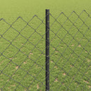 Kæde-link hegn med post 10 x 1,4 m (B x H) PVC-belagt stål Grå