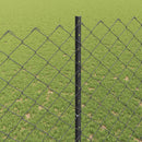 Kæde-link hegn med post 25 x 1,6 m (B x H) PVC-belagt stål Grå