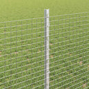 Svejsede trådhegn med stolper 25 x 0,8 m Galvaniseret stål Sølv