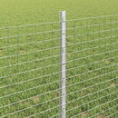 Svejsede trådhegn med stolper 50 x 0,6 m Galvaniseret stål Sølv