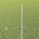 Svejsede trådhegn med stolper 50 x 1 m Galvaniseret stål Sølv